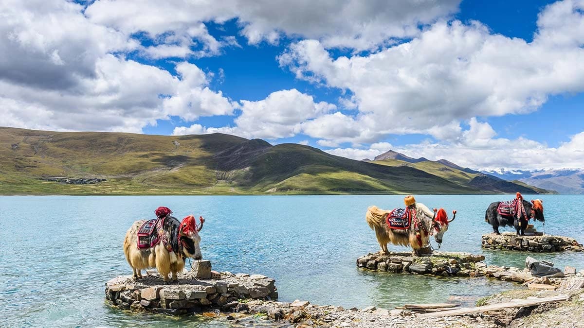 Yamdrok Lake