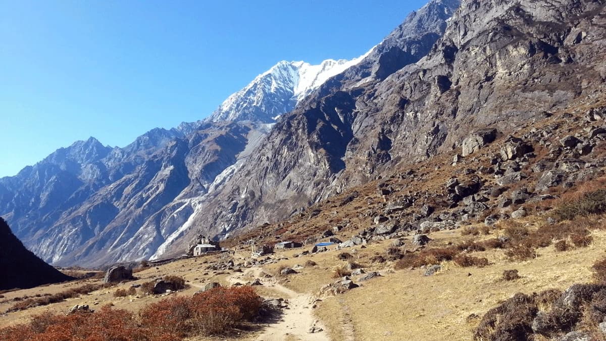 Langtang valley trekking