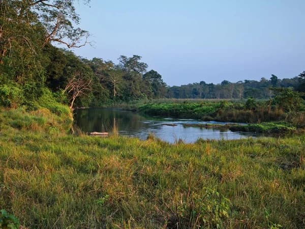 Chitwan National Park River