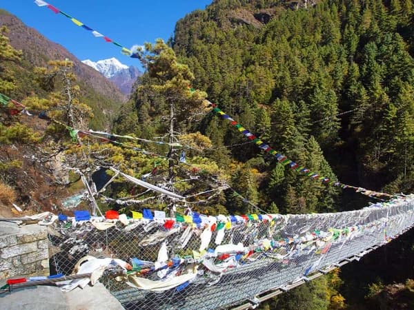 Suspention Bridge