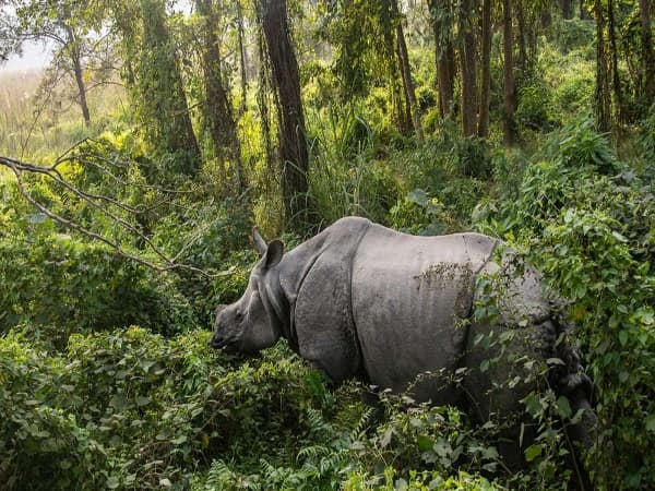 Chitwan National Park Tour